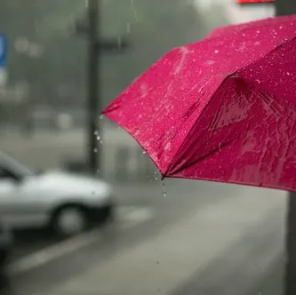 Apparel & Umbrellas