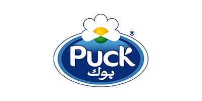 puck